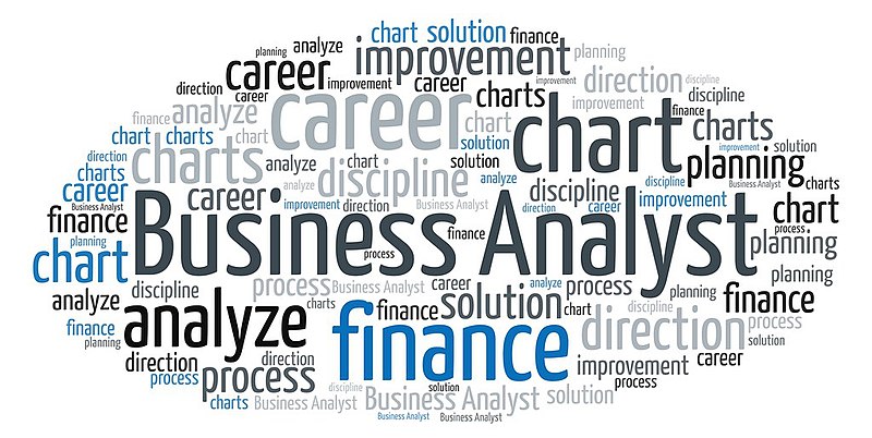 busineess analyst